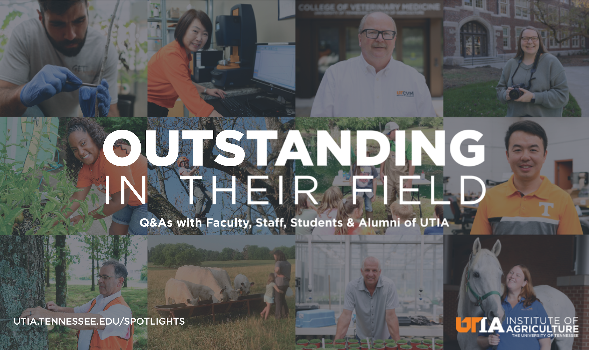 Outstanding in Their Field. Q&As with faculty, staff, students, and alumni