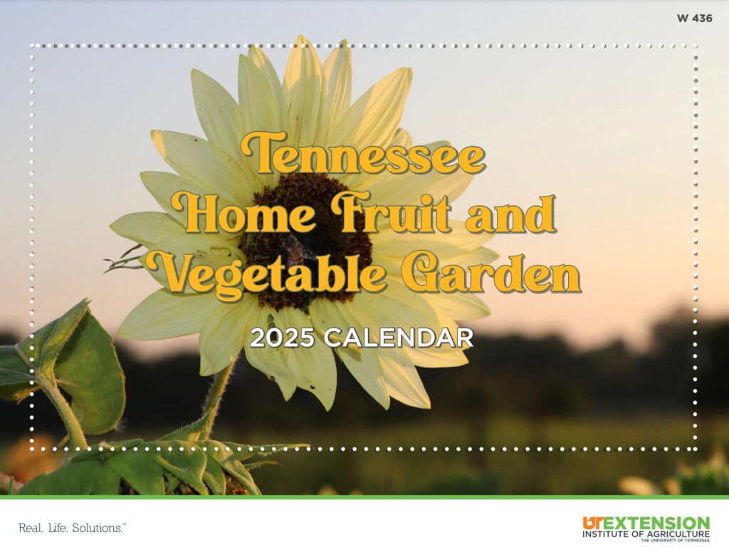 Cover of the 2025 Fruit and Vegetable Calendar