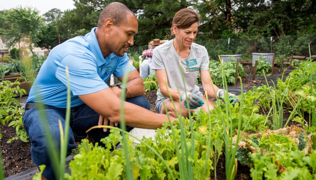 Two people working on a garden together