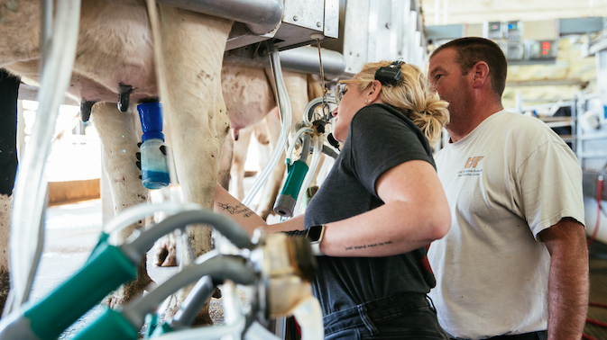 Two people reviewing the use of a robotic milker