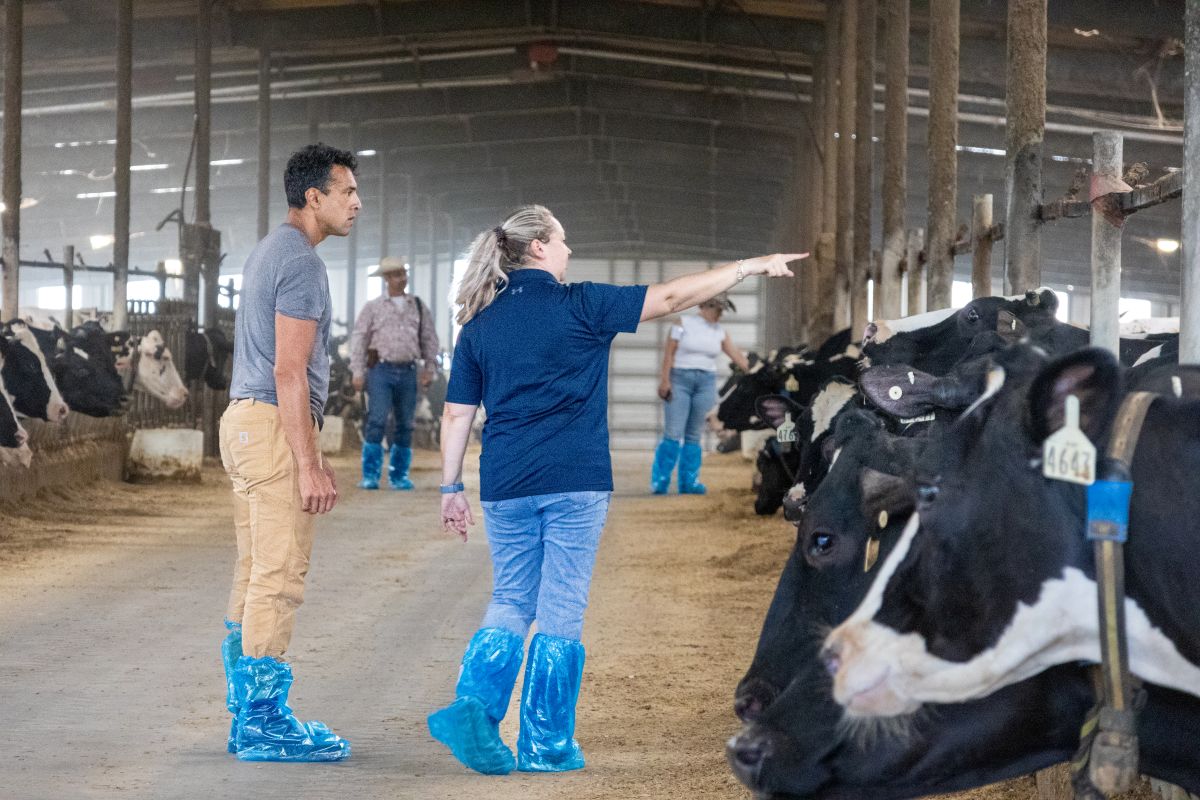 Liz Eckelkamp, associate professor of animal science and UT Extension dairy specialist, discusses the dairy herd at Sweetwater Valley Farm in Philadelphia, Tennessee, with a program participant as part of the 2025 SDBII Southeast Experiential Learning Course