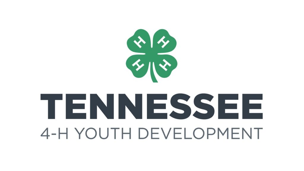 Tennessee 4-H Youth Development