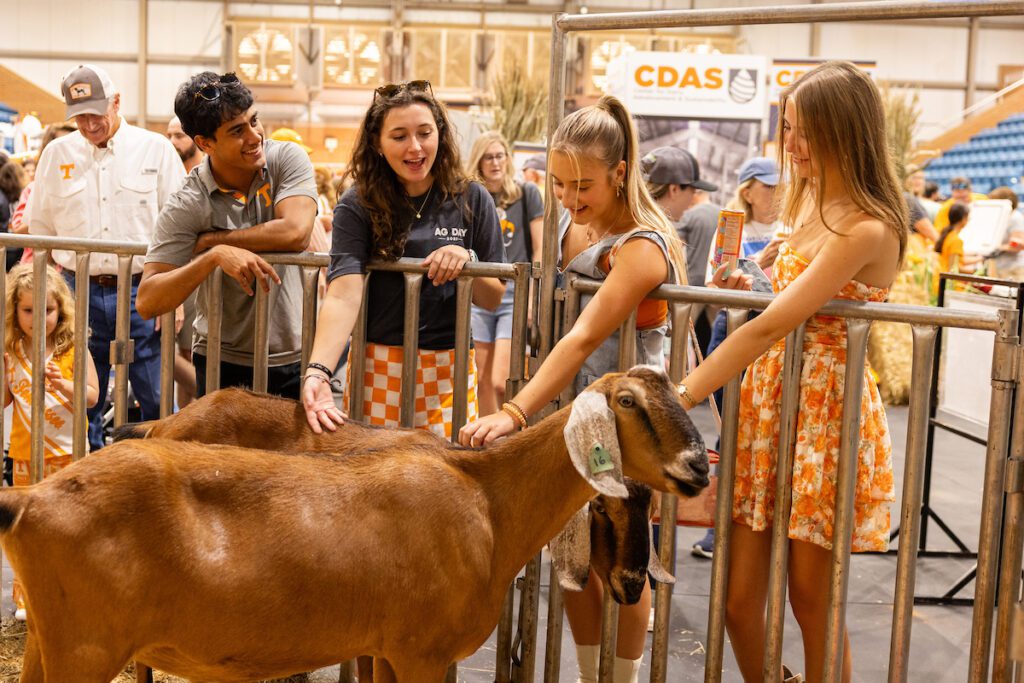 Attendees interact with animals at Ag Day 2025 in Knoxville, Tennessee, on September 19, 2025. Photo by Haley Harbin/University of Tennessee.