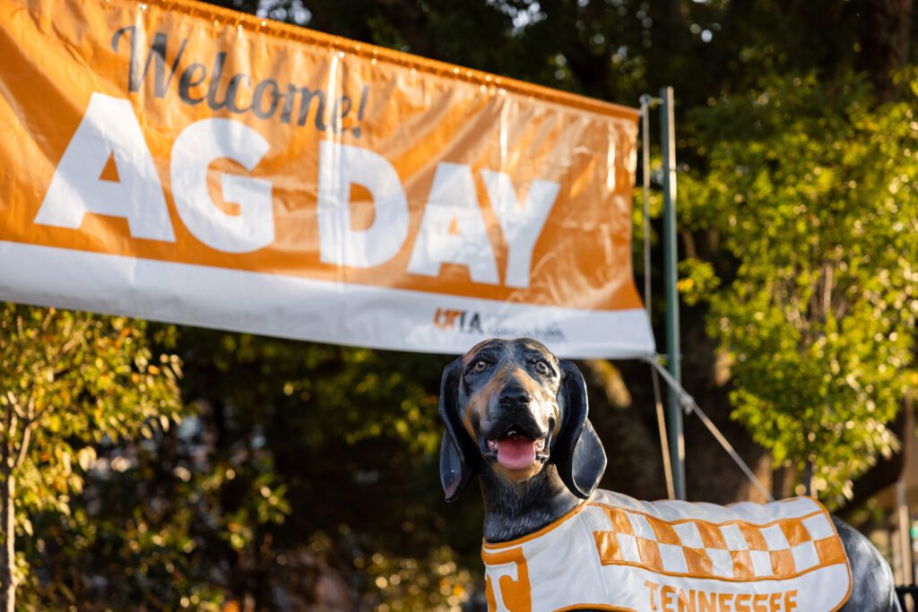 A banner promoting Ag Day displayed above a statue of UT Knoxville Mascot Smokey in Knoxville, Tennessee, on September 19, 2025. Photo by Haley Harbin/University of Tennessee.