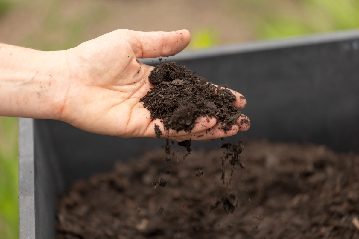 A hand holding soil