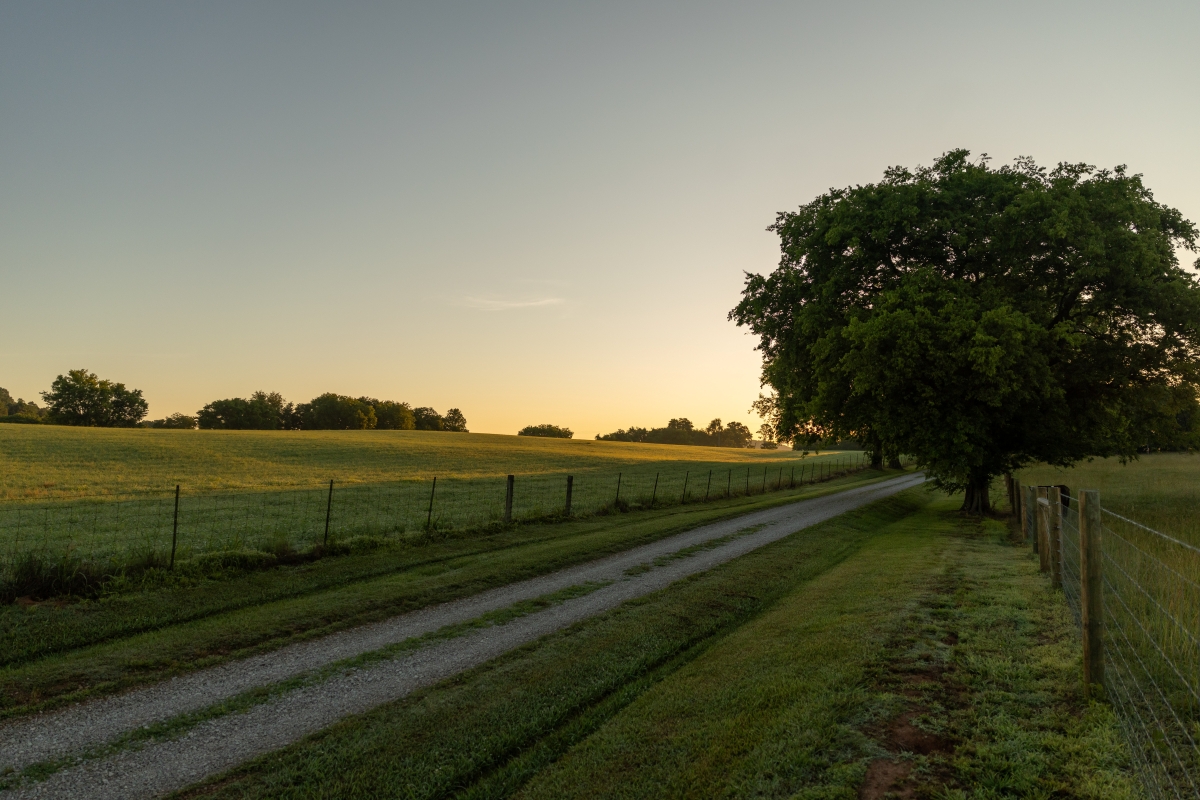 A gravel road with a sunset across a Tennessee pasture
